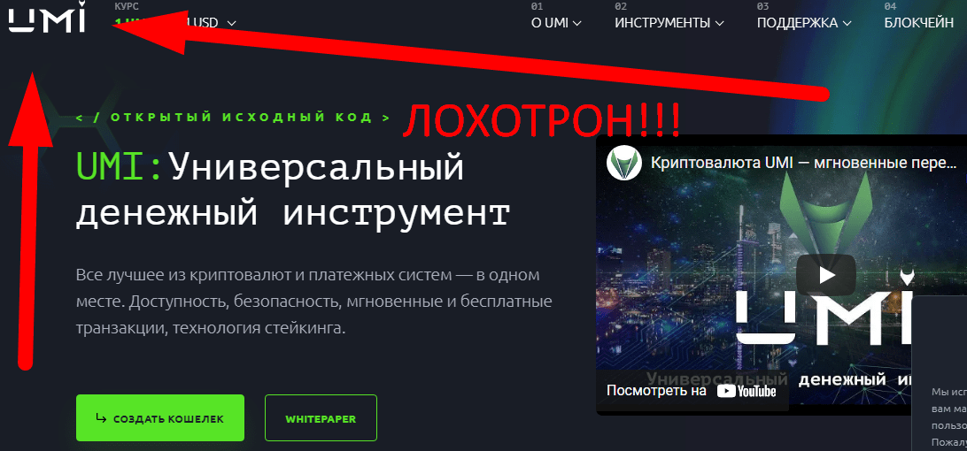 UMI криптовалюта обзор и отзывы