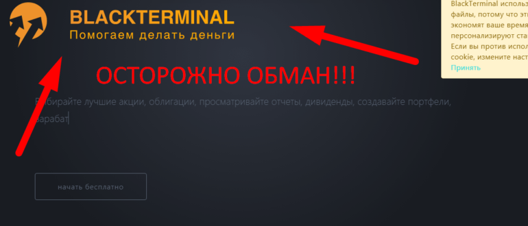 Black terminal отзывы