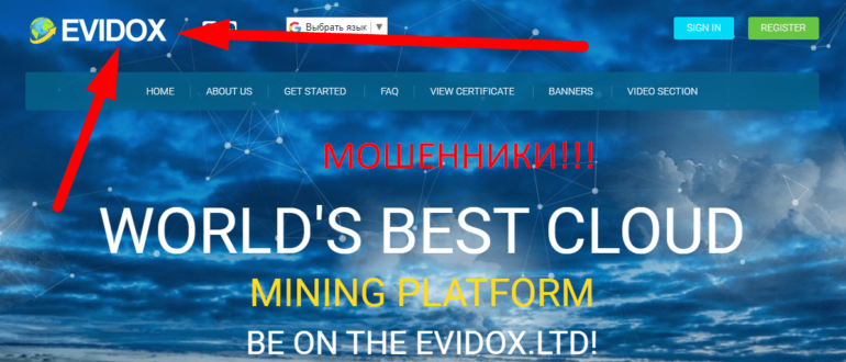 evidox.ltd отзывы