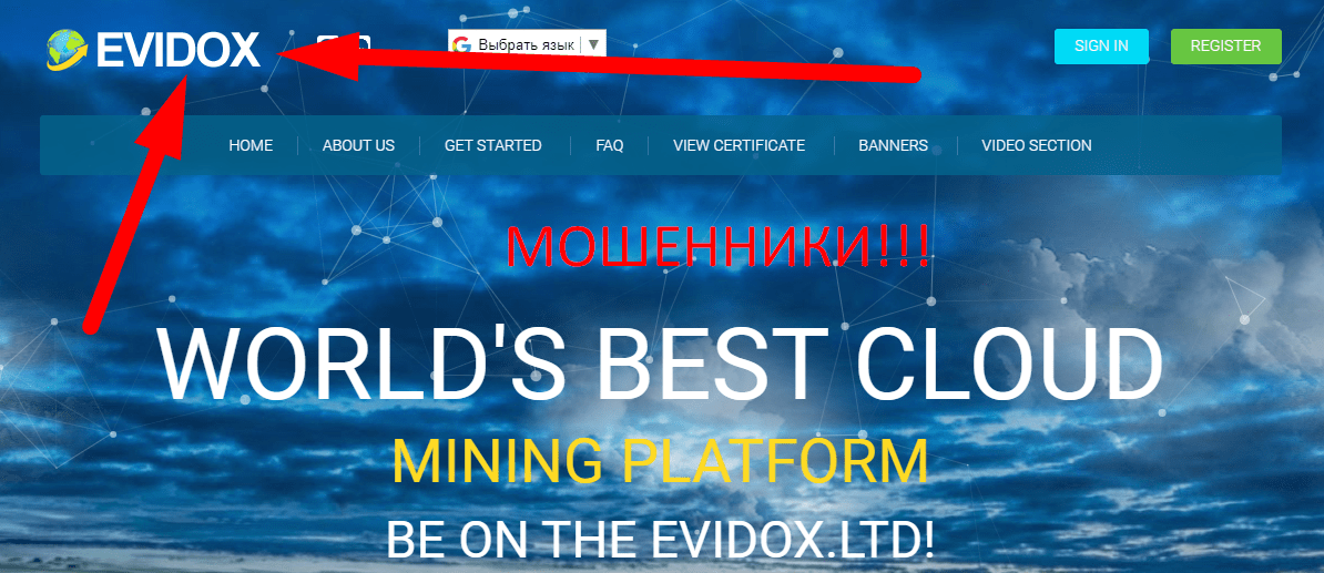 evidox.ltd отзывы
