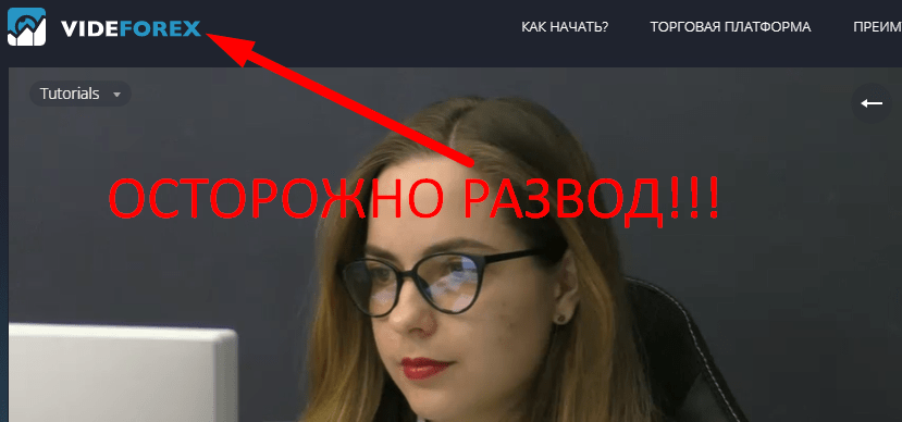 VideForex отзывы