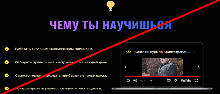 Kinglab отзывы
