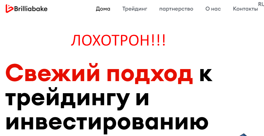 Brilliabake отзывы