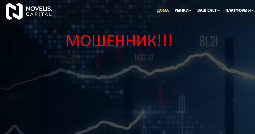 Novelis Capital отзывы