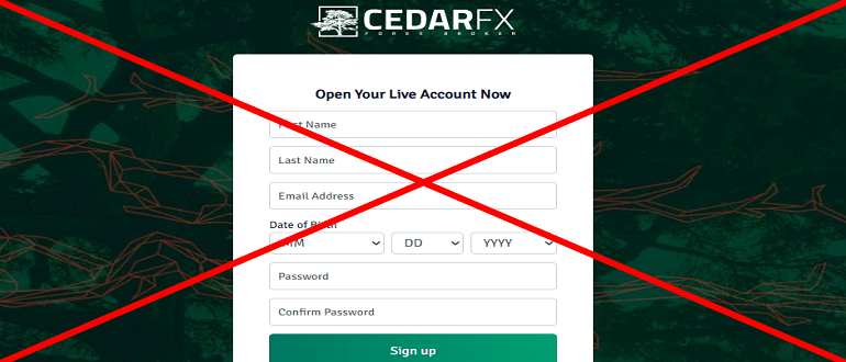 Cedarfx отзывы