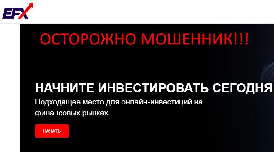ECN отзывы