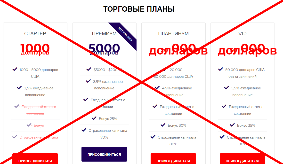 ECN отзывы