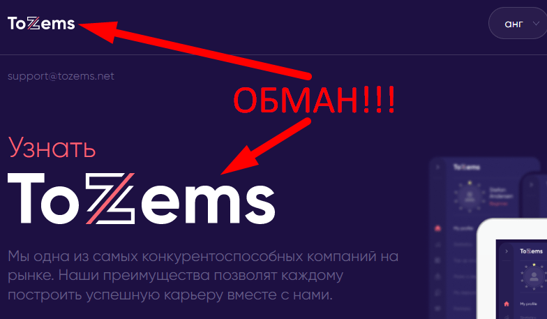Tozems отзывы