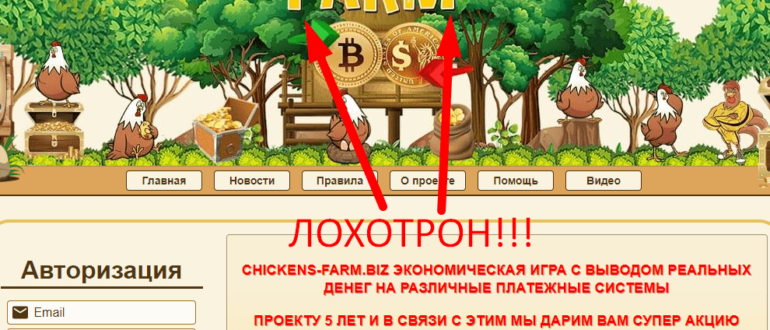 Chickens Farm отзывы