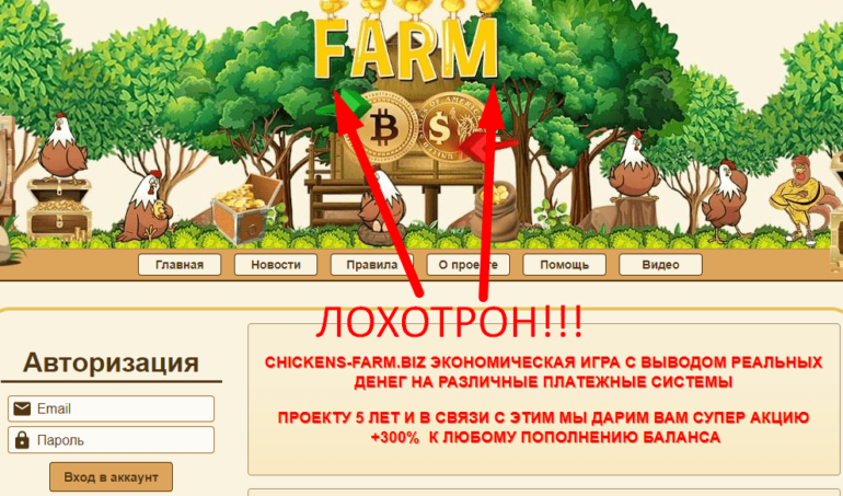 Chickens Farm отзывы