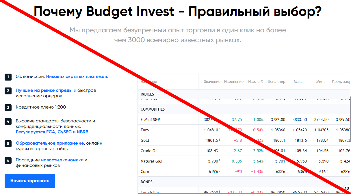 Budget invest отзывы