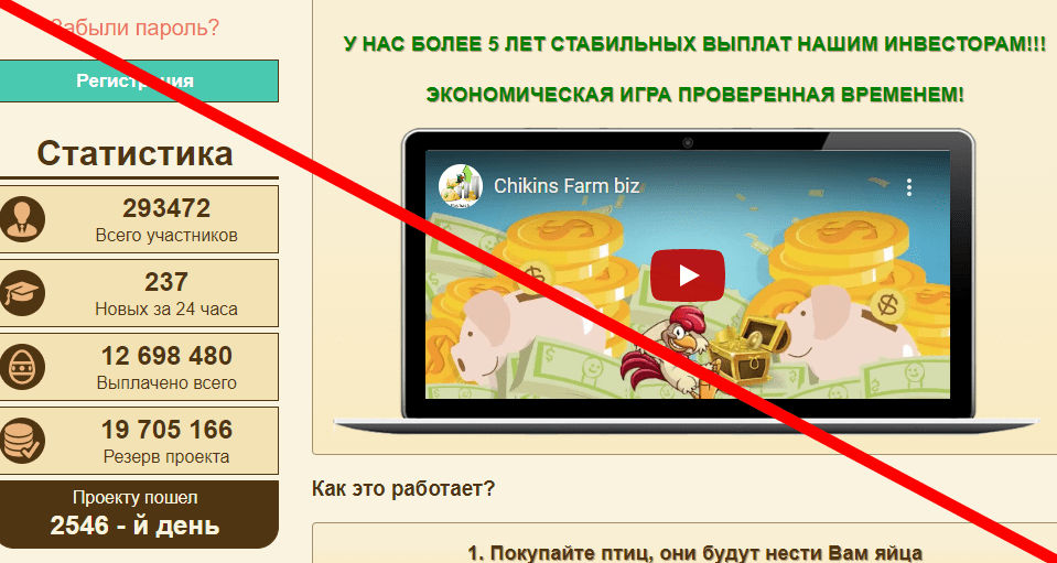 Chickens Farm отзывы