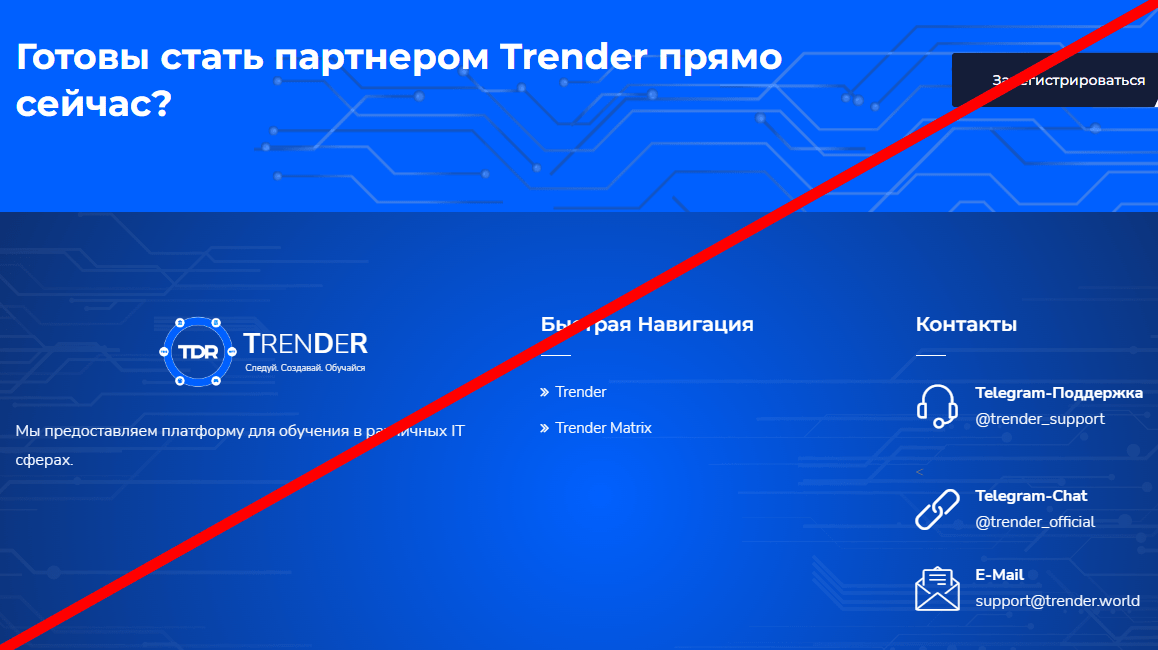 Trender World отзывы