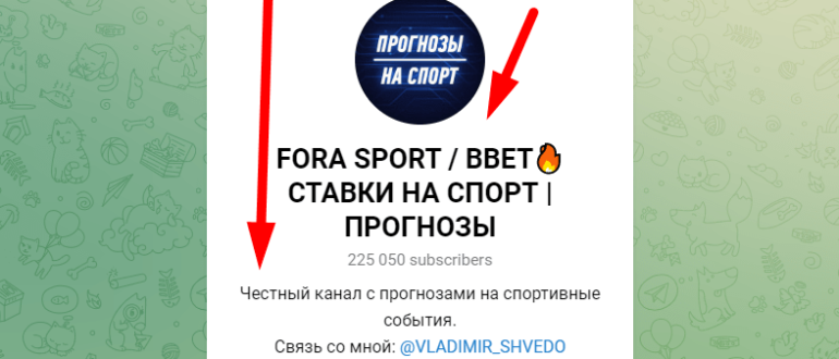 ForaSport отзывы