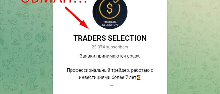 TRADERS SELECTION отзывы