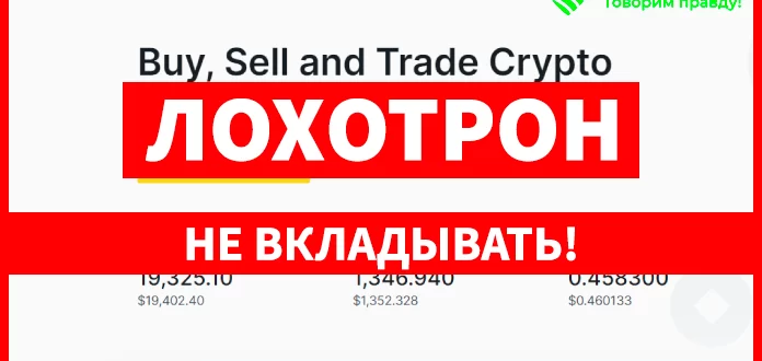 Bongogas отзывы