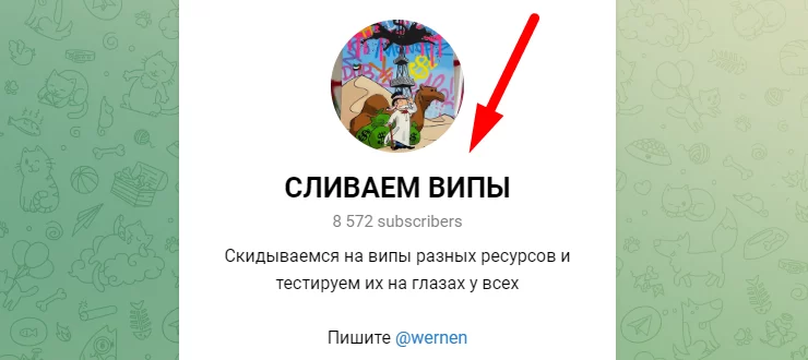 Сливаем випы телеграмм отзывы
