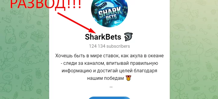 Sharkbets отзывы