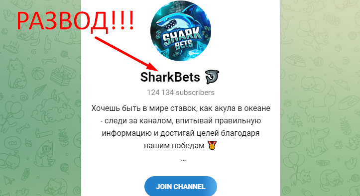 Sharkbets отзывы