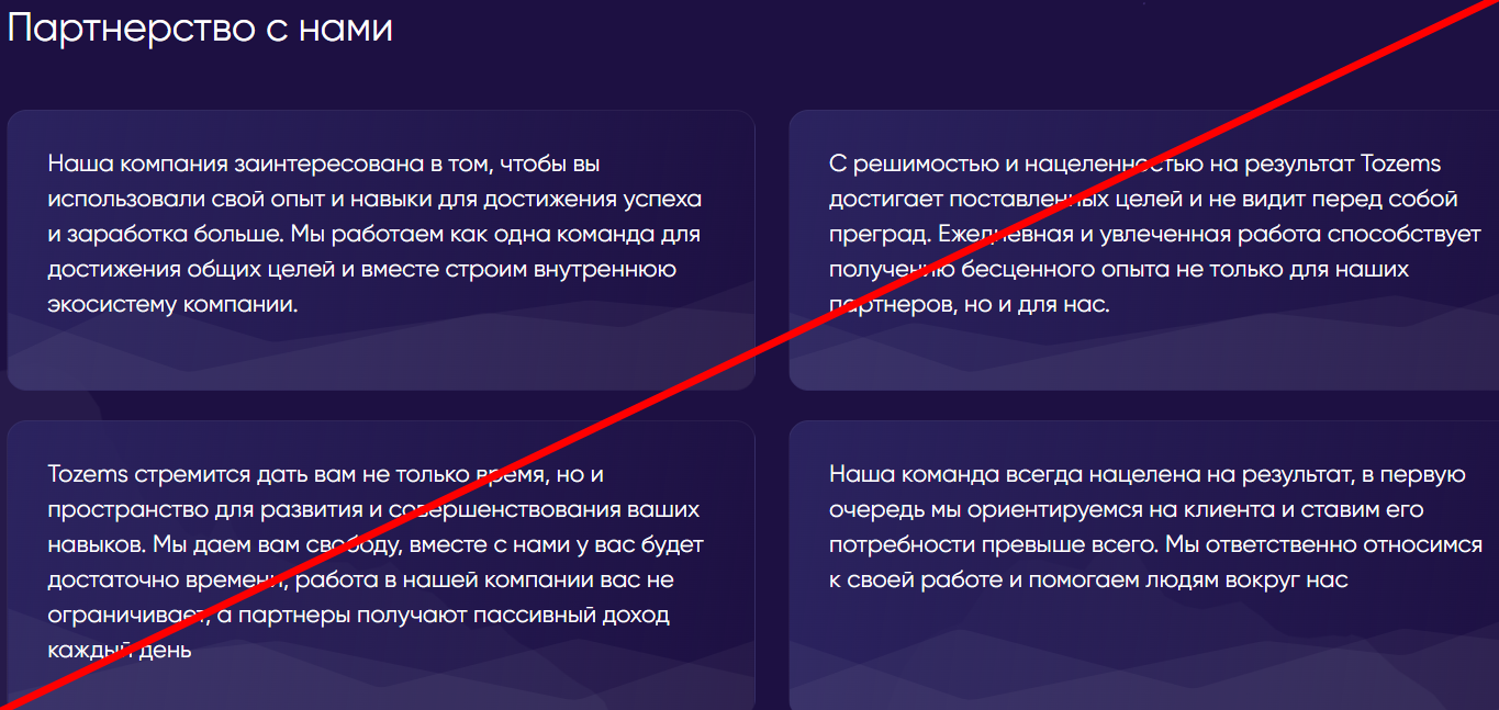 Tozems отзывы 