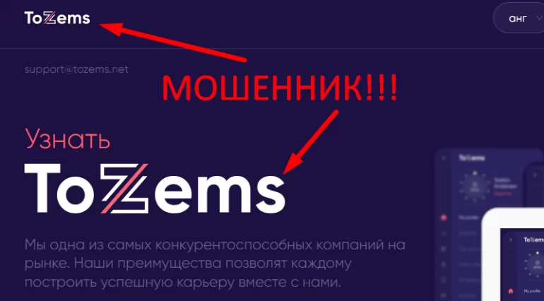 Tozems отзывы