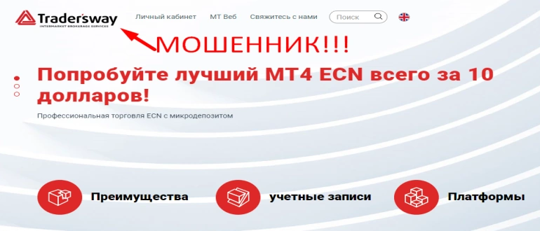 Traders way отзывы