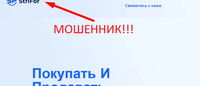 Strifor отзывы
