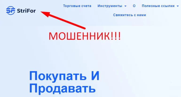 Strifor отзывы