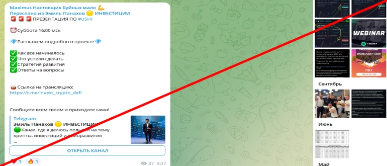 Maximus отзывы