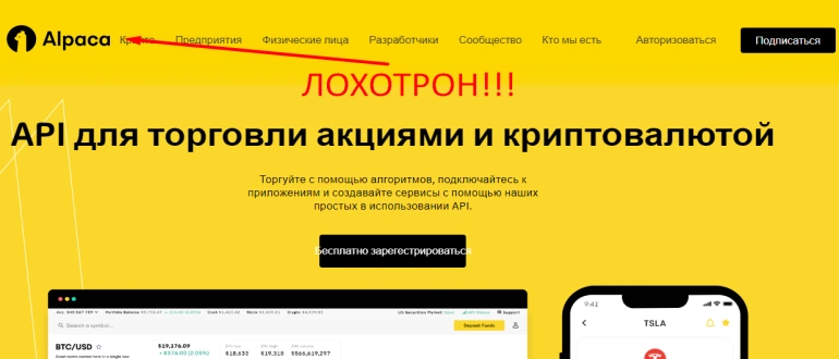 Alpaca markets отзывы