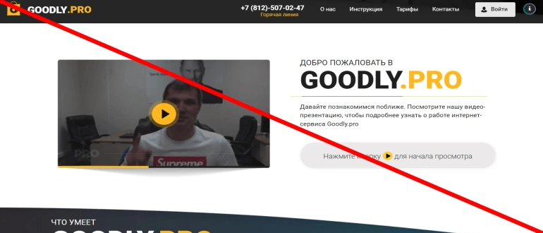 Goodly pro отзывы