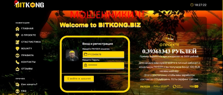 Bitkong отзывы