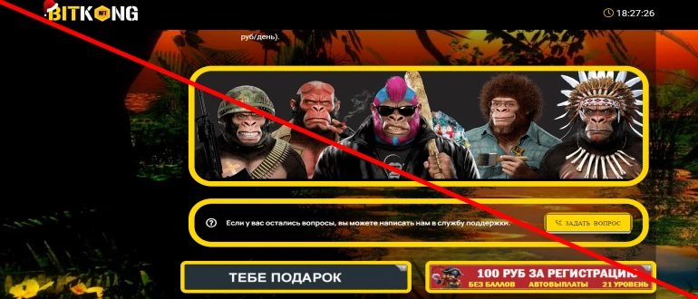Bitkong отзывы