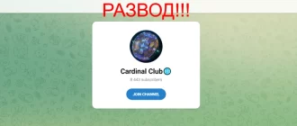 Cardinal club отзывы