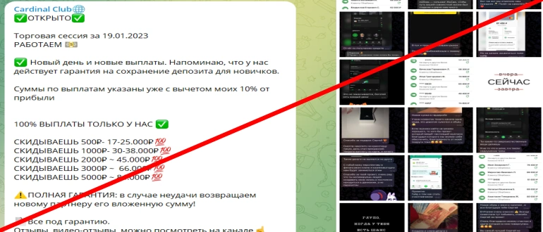 Cardinal club отзывы