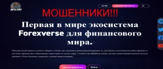 Metafury world отзывы