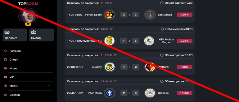 Topboom отзывы