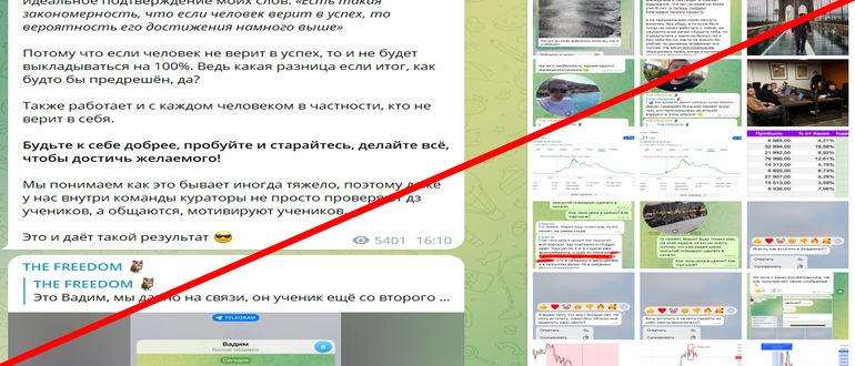 The freedom отзывы