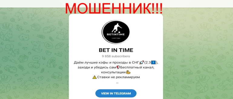 Bet in time отзывы