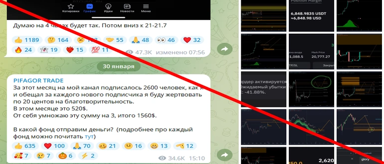Pifagor trade отзывы