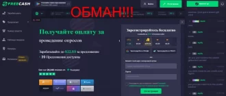 Free cash отзывы