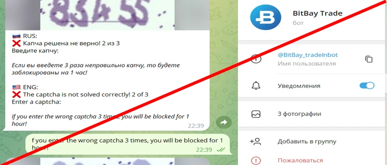 Bitbay trade отзывы