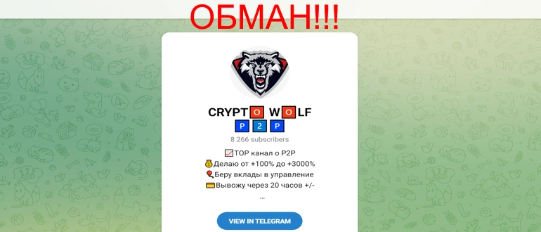 Crypto Wolf отзывы