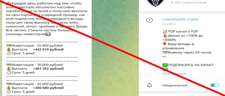 Crypto Wolf отзывы