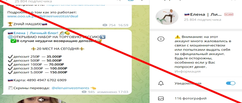 Елена личный блог отзывы