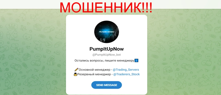 Pumpitupnow отзывы