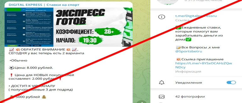 Digital express отзывы