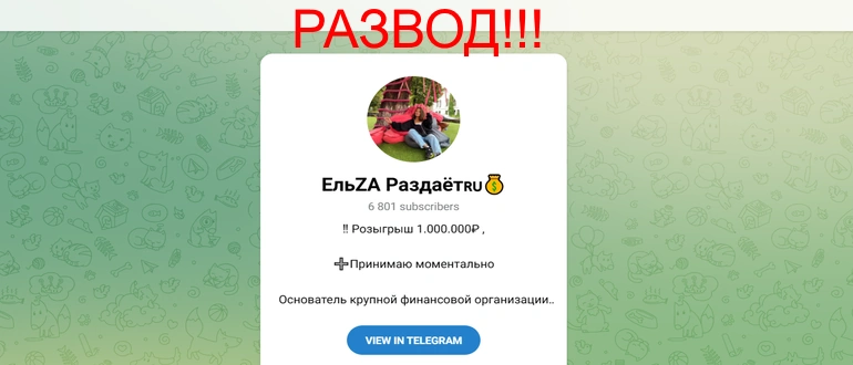 Эльза раздает отзывы