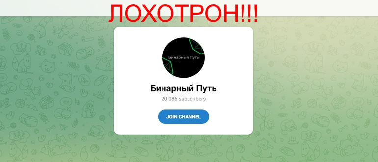 Бинарный путь отзывы