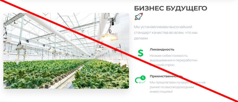 Greenway investments отзывы